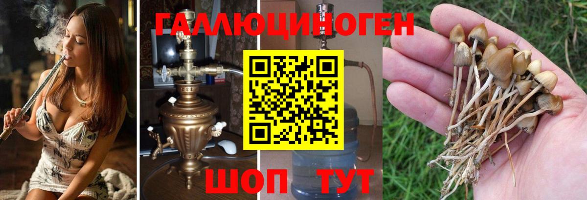 Серов  Псилоцибиновые грибы Cubensis  наркошоп  Вход с VPN 