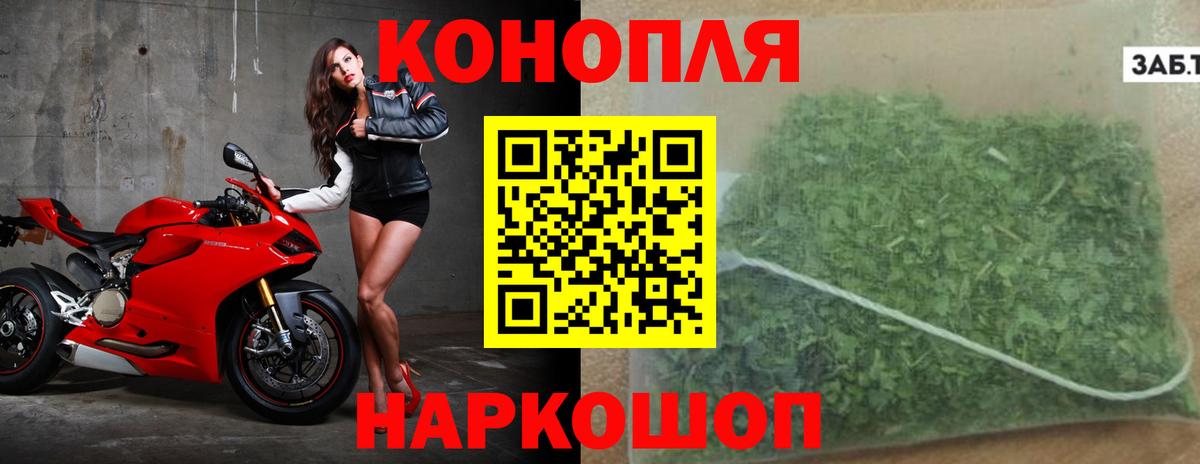 Бошки марихуана конопля  Вход с VPN  Марихуана тримм  Серов  Бошки Шишки сатива 